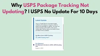 Why USPS Package Tracking Not Updating USPS No Update For 10 Days