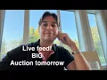 Live chat BIG guitar auction is tomorrow