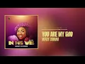 Lagu Mercy Chinwo - You Are My God (Official Audio)