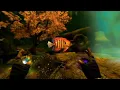 SKYRIM - Angelfish Pygmy Sunfish Spadefish location by hand