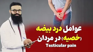                                                   دندنها