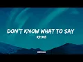 Download Lagu Don't Know What To Say - Reyne Cover (Lyrics)