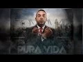 Download Lagu Don Omar - Pura Vida (The Nation Bootleg Mix) [HANDS UP]