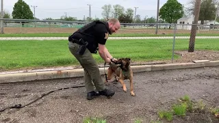 Clinton County Sheriff s Office Merit Deputy Recruit