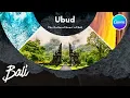 Rotate Like a Pro in Canva Elevate Your Presentations with Ease