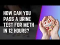 How Can You Pass A Urine Test For Meth In 12 Hours