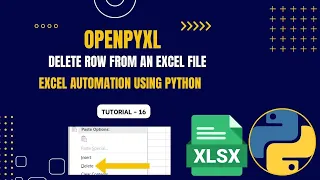 Excel Automation Tutorial - 16 Deleting Rows in Excel openpyxl Python