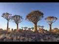 Download Lagu Saterdag, 19 Julie 2025.  Kokerboom Aanbieding Namibië