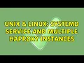 Unix Linux systemd service and multiple haproxy instances