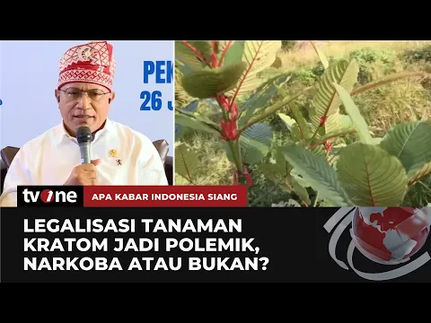 Kontroversi Tanaman Kratom Mengandung Narkotika? BNN: Menunggu Kajian Ilmiah Lebih Lanjut