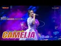 Download Lagu Tasya Rosmala - Camelia || Live konser musik ambyar viral terbaru tiktok
