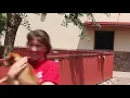 Kennel Assistant