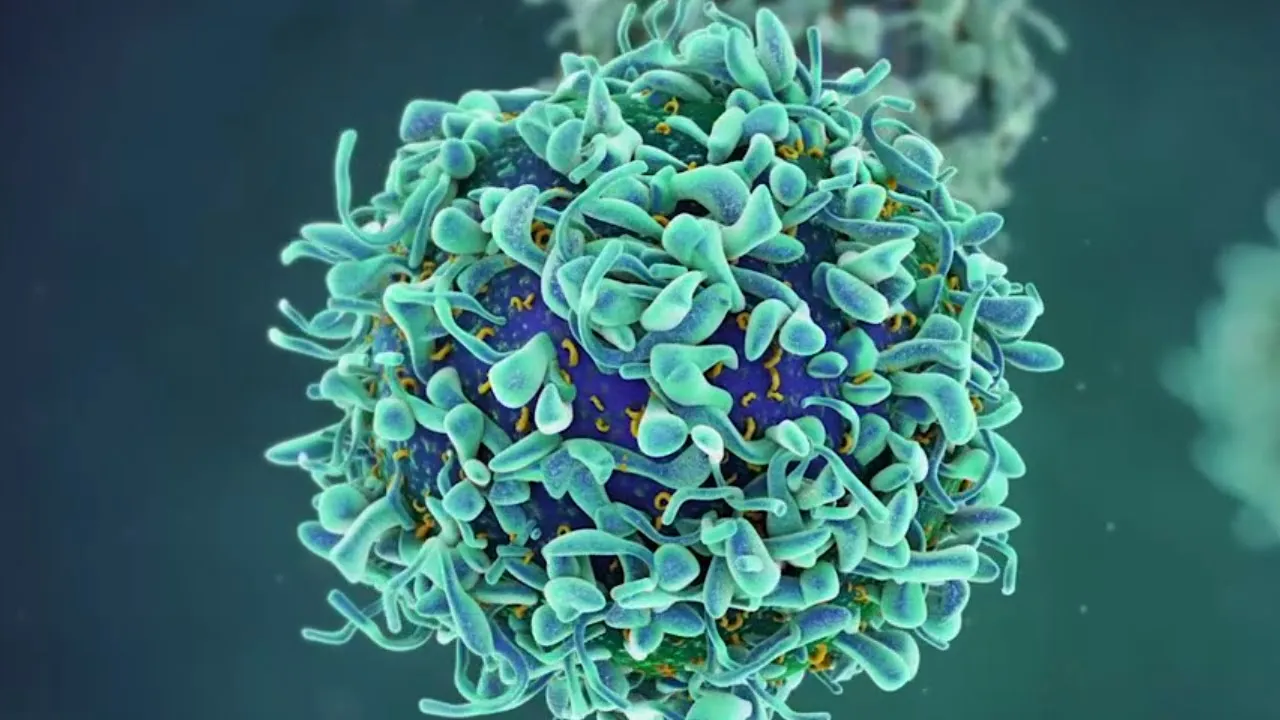 Agilent 3D animation story video