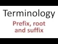 Medical terms 1 Introduction