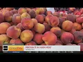 Your Produce Man Sunrise Mall
