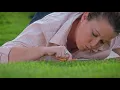 IFA 4Plus Lawn Care - Ultimate Power Move