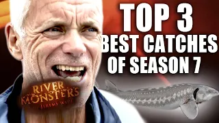 THE BEST Catches of Season 7 COMPILATION River Monsters