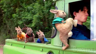 Peter Rabbit S Best Funny Scenes 4K 