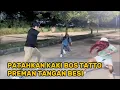 Download Lagu PATAHKAN KAKI BOS TATTO PREMAN TANGAN BESI | Kisah gus syafaat
