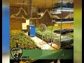 Suspect arrested at illegal marijuana grow in Josephine County