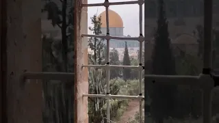فلسطين قدس القدس أنشودة مطر 
