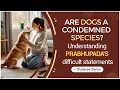 Download Lagu Are dogs a condemned species? -- Understanding Prabhupada's difficult statements | Alachua, USA