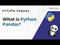 What is Python Pandas Python Pandas Series Data Engineering