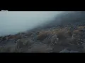 Josean Log / Canción Sin Nombre (Letra) [Video]