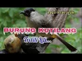 Download Lagu Burung Kutilang // Lagu Anak-anak 🇮🇩 Populer