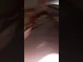 aji tsma3 aisa wabdrzak lbachiri jadid swakn