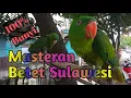 Download Lagu 100% \