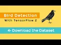 4 - Object Detection with Tensorflow 2