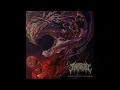 Mangled - Echoes From the Ominous Minds EP 2026