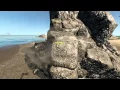 Stranded Deep - SDTweaks Mod