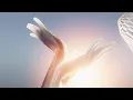 FARFETCH Conscious Fashion