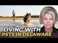 LIFE WITH PETS In Coastal Delaware Living In Coastal Delaware With Your Pet Delaware Pet Owners