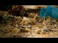 Download Lagu MIDWAY JOURNEY - Plastic Beach