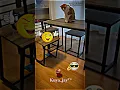 Download Lagu cute cat ang funny moments😂🥰 ||DJ solo solo Indra moyressa