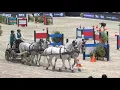 Attelage x4 Jumping de Bordeaux FEI DRIVING WORLD CUP