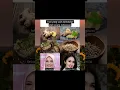 Download Lagu 3 hal yang susah dibedakan oleh orang Indonesia #sandradewi #dewisandra #viral #trending #271triliun