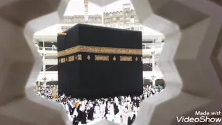 عزف تكبيرات العيد     دندنها