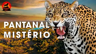 PANTANAL SELVAGEM | Caçadores Implacáveis e a Beleza Natural Intocada | Documentários animais