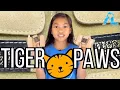 Download Lagu Wrist SUPPORT for a GYMNAST | Tiger Paw Wrist Support