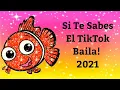 Download Lagu SI TE SABES EL TIKTOK BAILA! - 2021