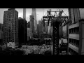 Penguin Cafe - Chapter (Official Music Video)