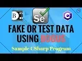 20 Sample Program Using BOGUS API in C