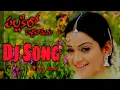 Download Lagu pallakilo pellikuthuru video dj songe