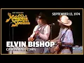 Download Lagu Calling All Cows - Elvin Bishop | The Midnight Special
