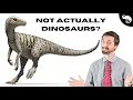 Theropods - The Coolest Things That Ever Lived and You Hardly Know Anything About Them