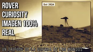 HAY VIDA EN MARTE Y ESTA FOTO LO CONFIRMA